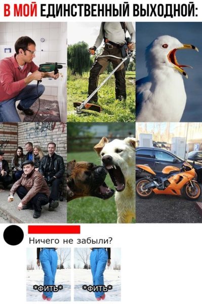 Самые лучшие клевые картинки Самые лучшие клевые картинки