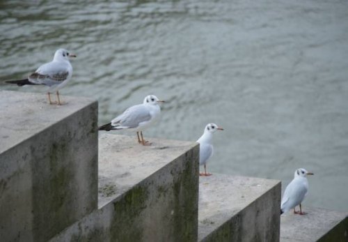 Прикольные сходства и совпадения Прикольные сходства и совпадения