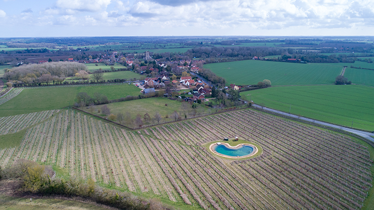 Эд Ширан занялся садоводством, земледелием и животноводством Эд Ширан занялся садоводством, земледелием и животноводством Звезды,Новости о звездах