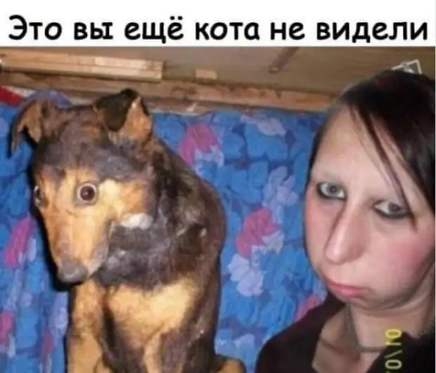 - Ребята, объясните, что такое утечка мозгов? - В твоем случае, Саша, это насморк... - Ребята, объясните, что такое утечка мозгов? - В твоем случае, Саша, это насморк... домой, чтобы, прямо, минут, работает, почему, теперь, грозно, Почему, только, сейчас, вечер, сказал, вечером, работы, застаю, постели, какимто, шведом, сказать