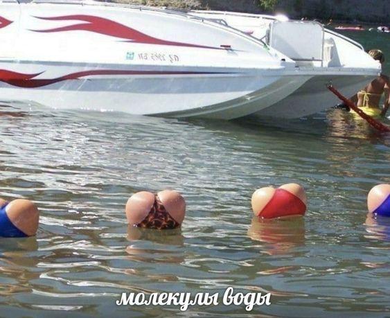 Юмор, который сделает эту зиму ярче Юмор, который сделает эту зиму ярче