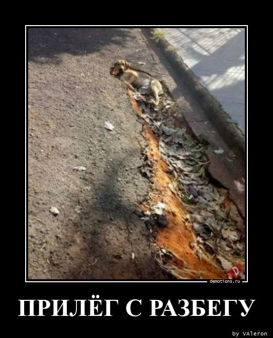 Демотиваторов пост: «Виды противоугонных систем…» 