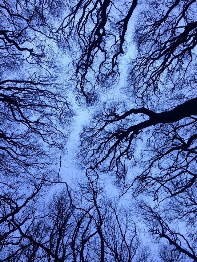 24 кадра, на которых всё настолько идеально, что даже не верится Отдых