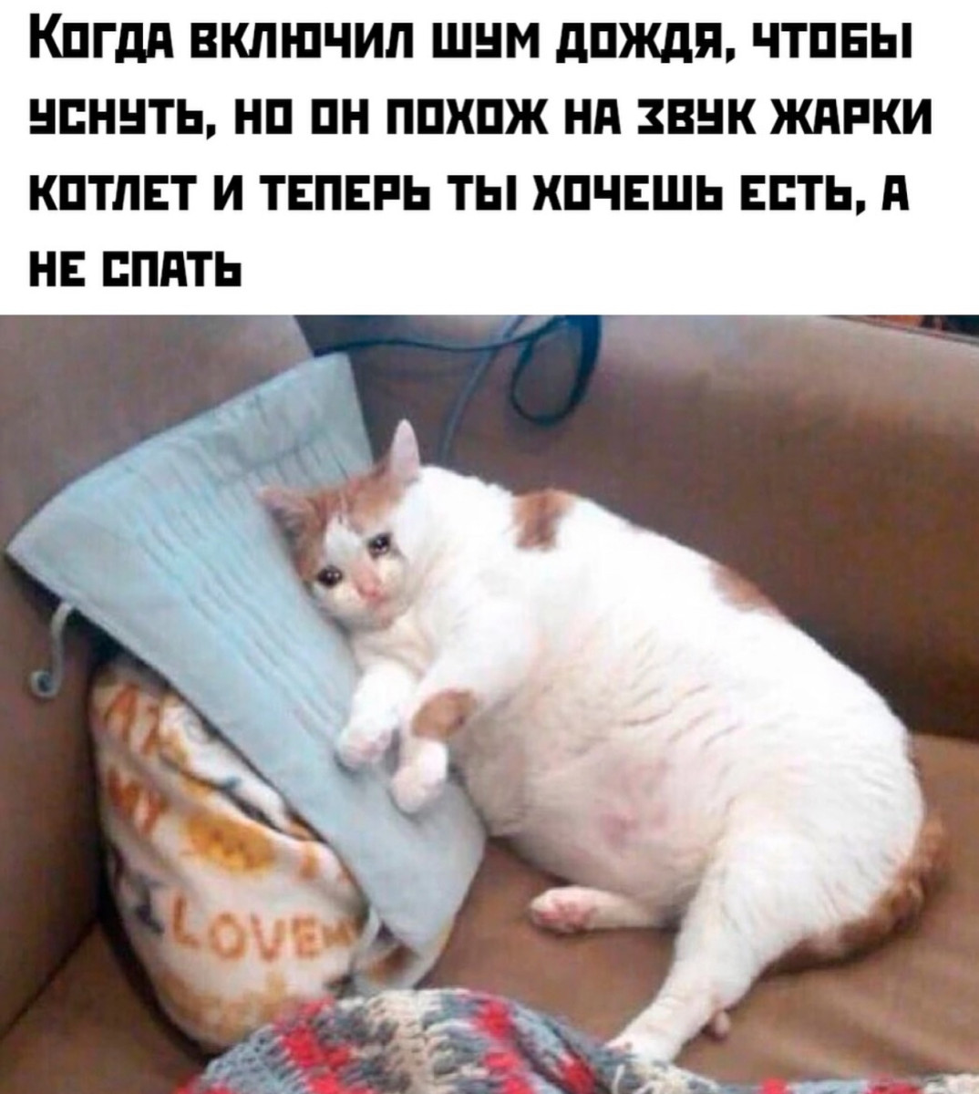 Уволился, потому что работа мешала моему лету Уволился, потому что работа мешала моему лету