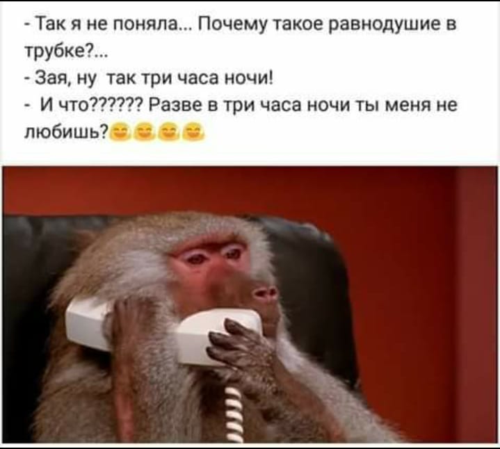 - Я хочу, чтобы ты дарил цветы не только на 14 февраля и 8 марта... Весёлые,прикольные и забавные фотки и картинки,А так же анекдоты и приятное общение