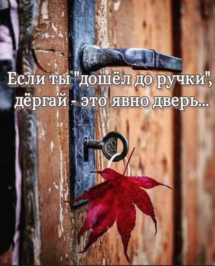 Самые убойные картинки 