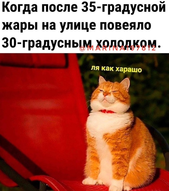 Глядя на своих бывших, начинаешь реально сомневаться в своей адекватности 