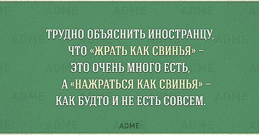 ТОНКОСТИ РУССКОГО ЯЗЫКА прикол,юмор