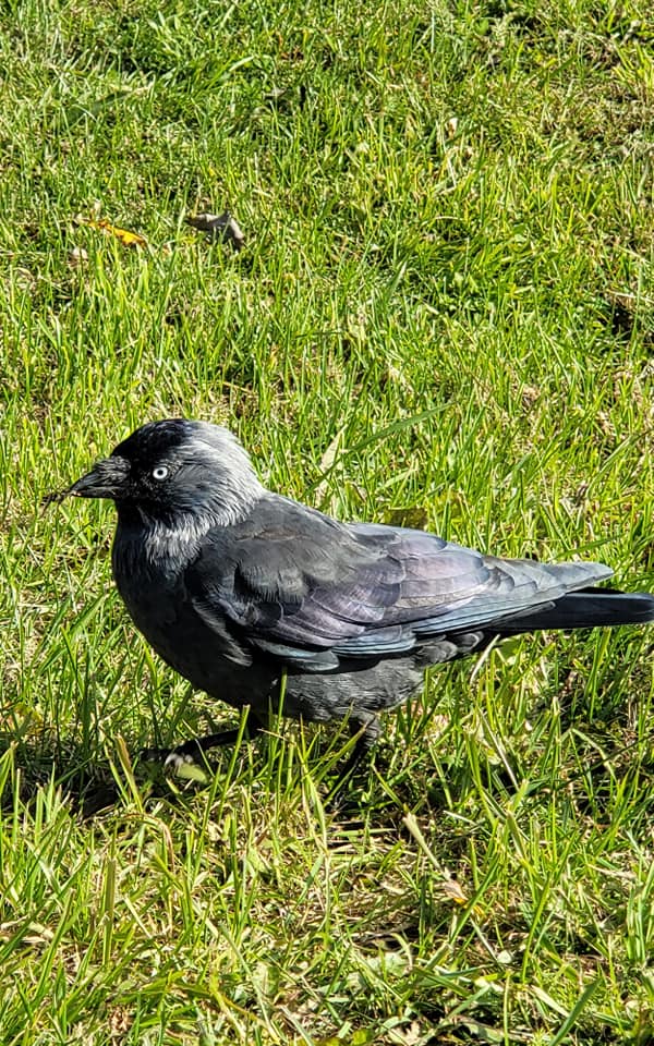 Василий Устюжанин: Безымянные божьи плотники Василий Устюжанин: Безымянные божьи плотники Общество