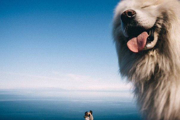 Позитивные картинки и веселые фото из сети