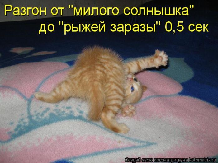 Мысли вслух :)
