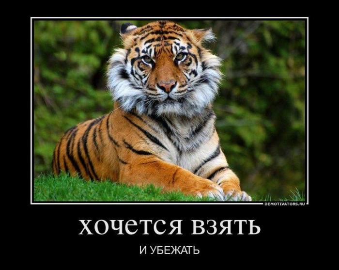 Забавные и прикольные демотиваторы для улыбки и веселья Забавные и прикольные демотиваторы для улыбки и веселья смешные демотиваторы