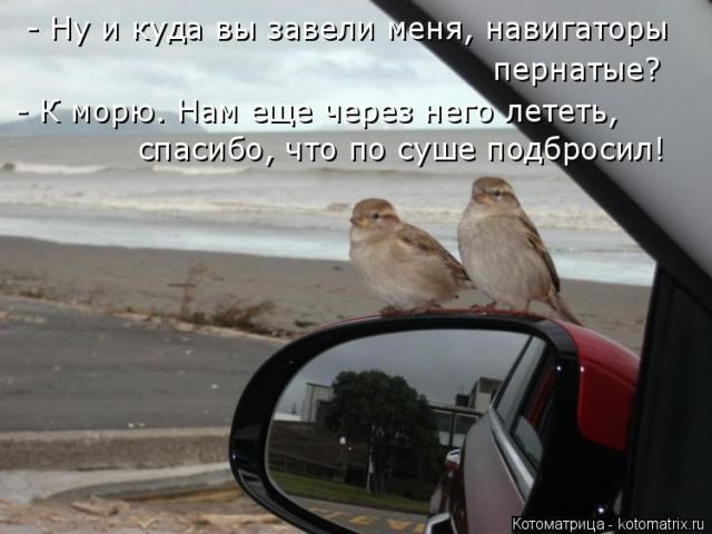 Самые смешные котоматрицы за прошедшую неделю