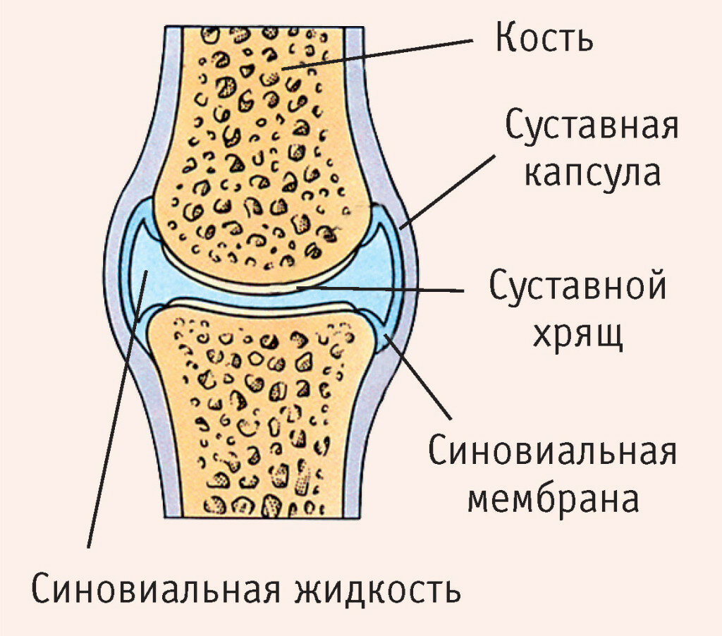 Откуда скованность по утрам, и почему не отдыхаешь за ночь скованность, после, утренняя, утренней, суставов, крови, более, всего, пострадают, случае, быстро, маркер, мышцы, позвоночника, Бехтерева, мышечных, длительного, воспаления, активностью, аэробной