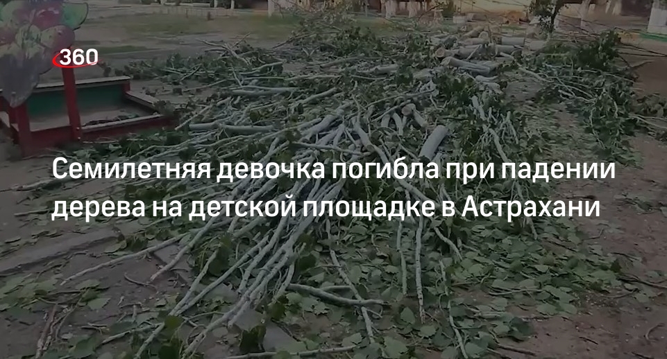 Дело по факту гибели ребенка в результате падения дерева возбудили в Астрахани