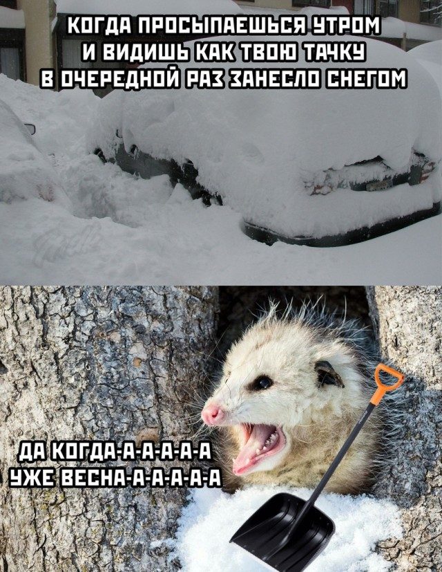 Смехопанорама. Высший класс! смешные картинки,фото-приколы,юмор