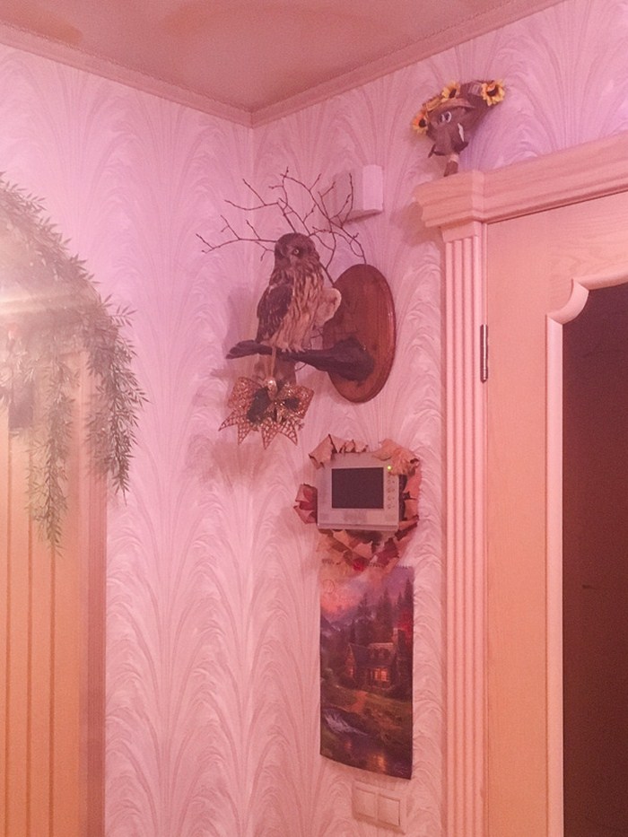 «Райский уголок» в московской панельке отнимает дар речи дизайн,домашний очаг,,интерьер,рукоделие,своими руками