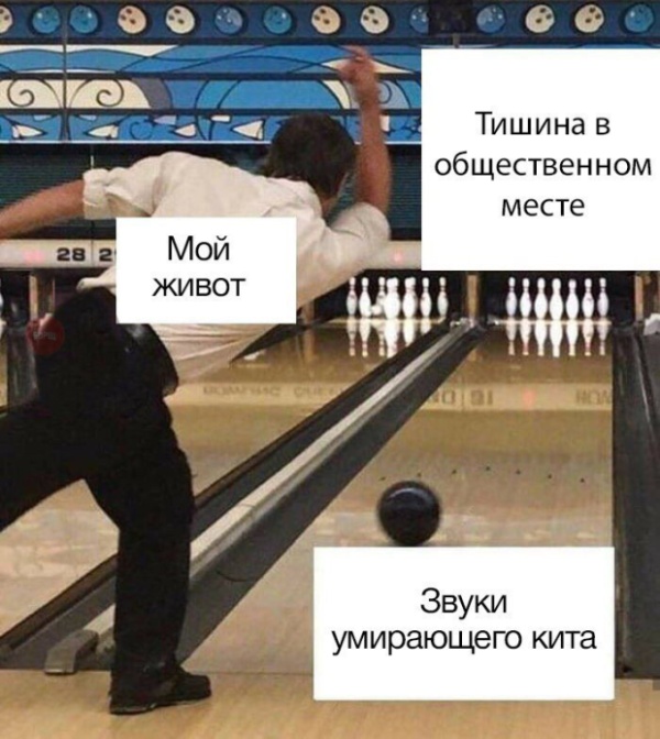 Подборка смешных картинок Подборка смешных картинок смешные картинки
