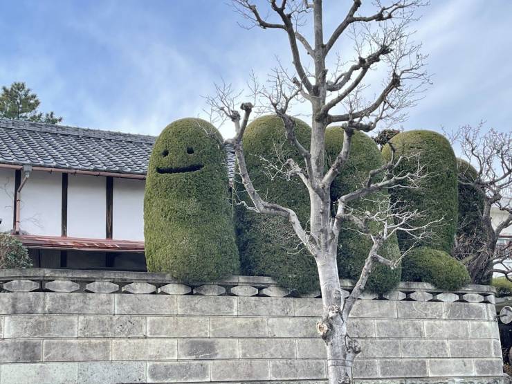 Подборка смешных картинок. Вечерний выпуск  приколы,смешные картинки,юмор