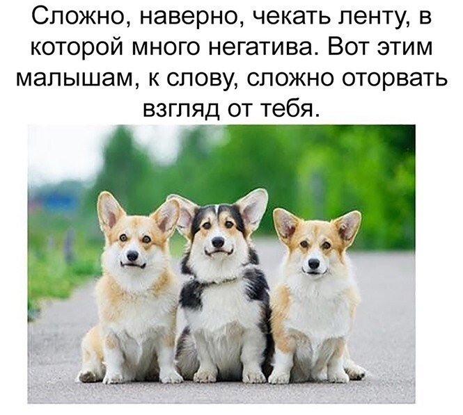 Смешные и познавательные картинки