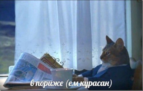 Подходи, налетай, фото-приколы разбирай! 