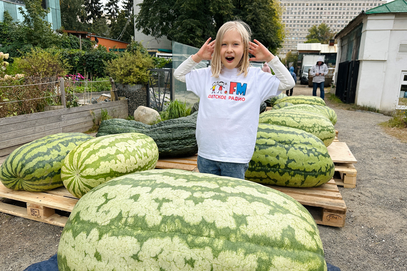 4. Без подписи