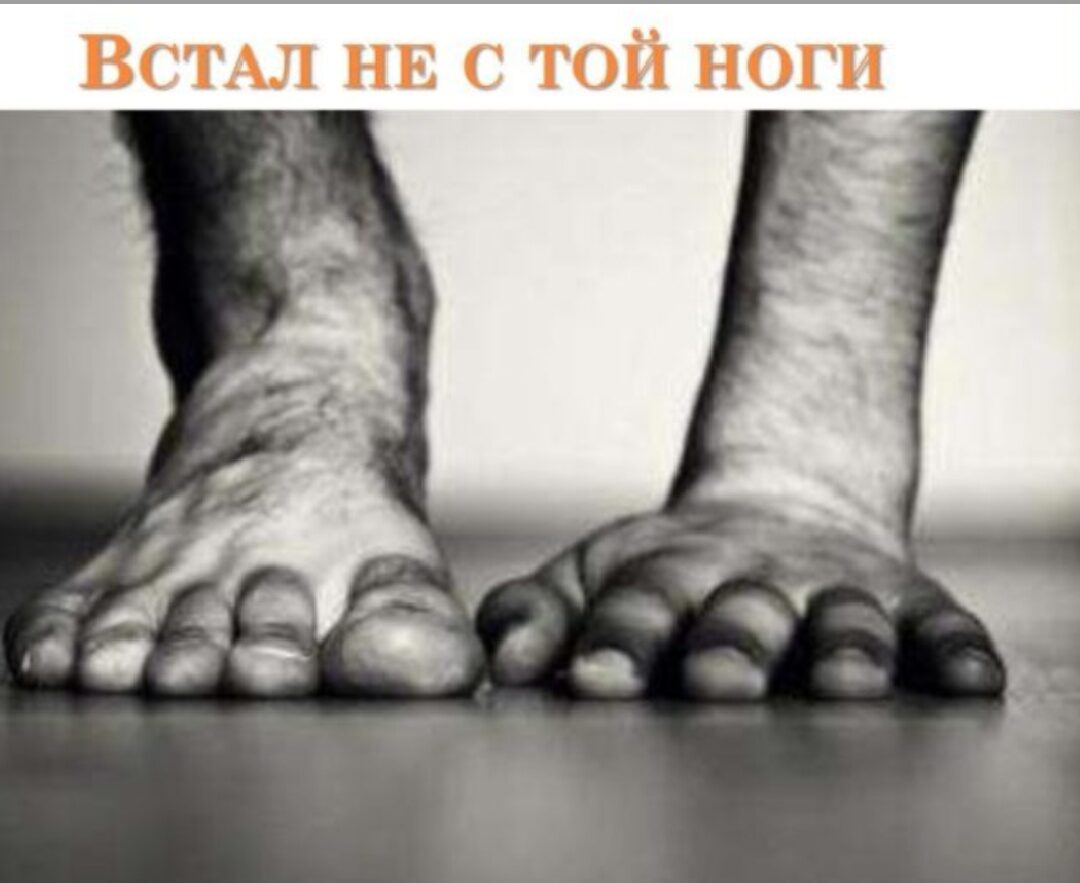 Веселые истории из жизни в картинках и самые смешные шуточки 