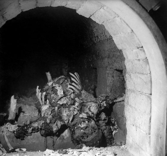 Фотография: Доктор Смерть Йозеф Менгеле: убийца тысяч, который не раскаялся №6 - BigPicture.ru