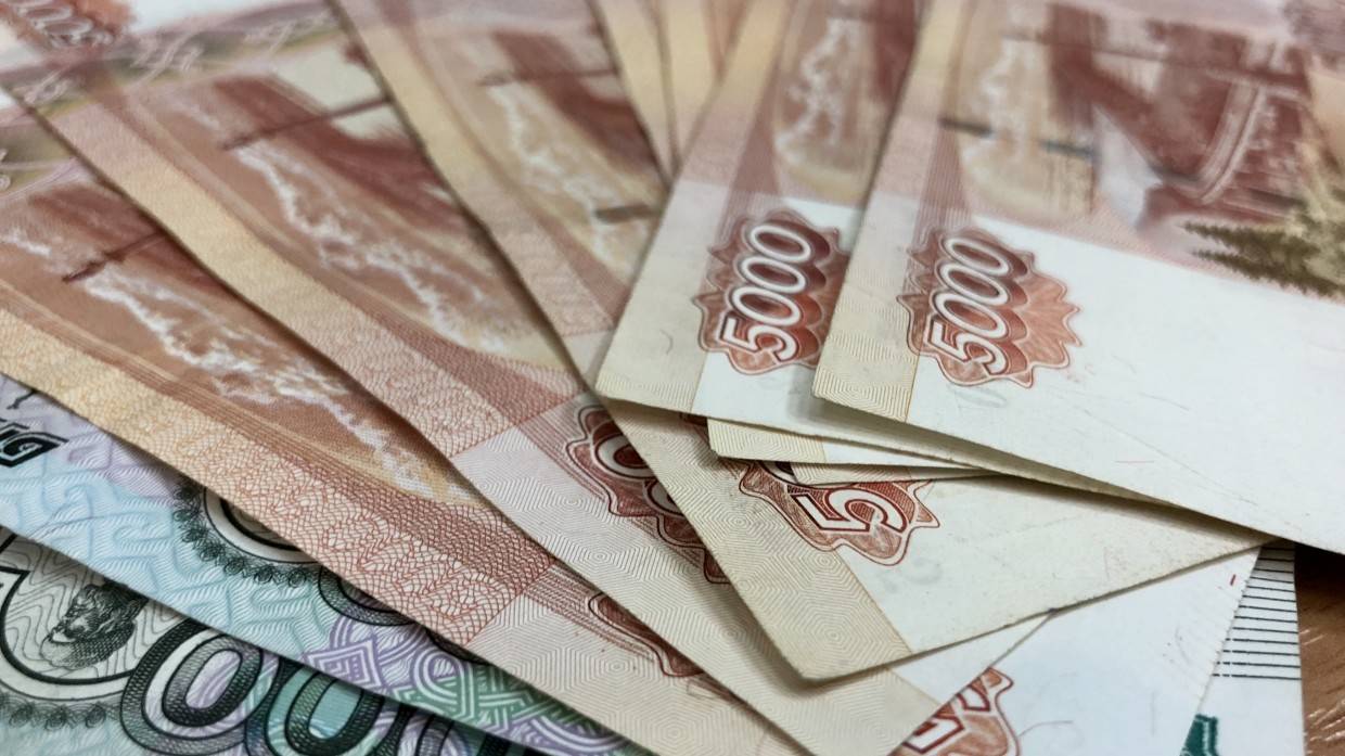 Первый министр экономики Нечаев оценил будущее бумажных купюр в России Экономика