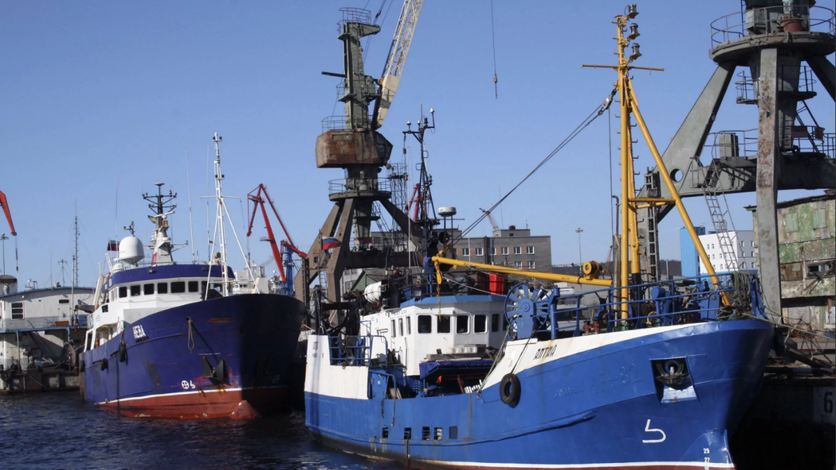 “Больше не выйдет обогащаться за счет РФ” - Россия отобрала Мурманский рыбный порт у иностранцев