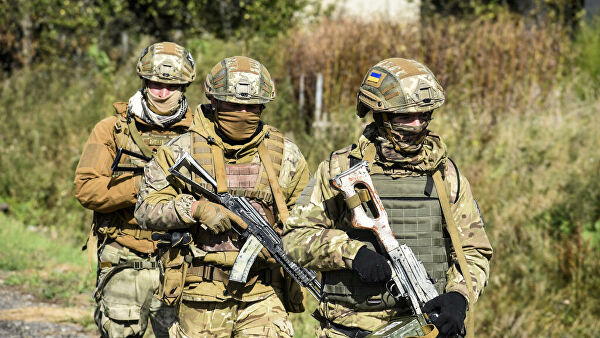 Эксперт назвал сроки нового наступления украинской армии на Донбассе