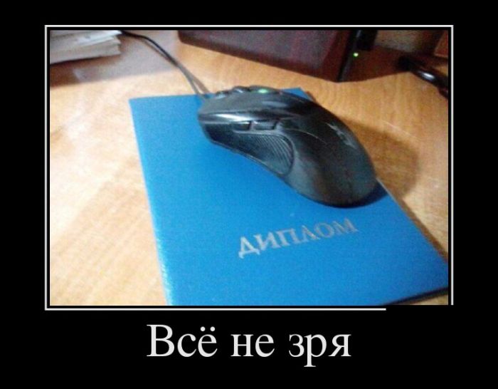 Веселые демотиваторы для хорошего настроения (11 фото)