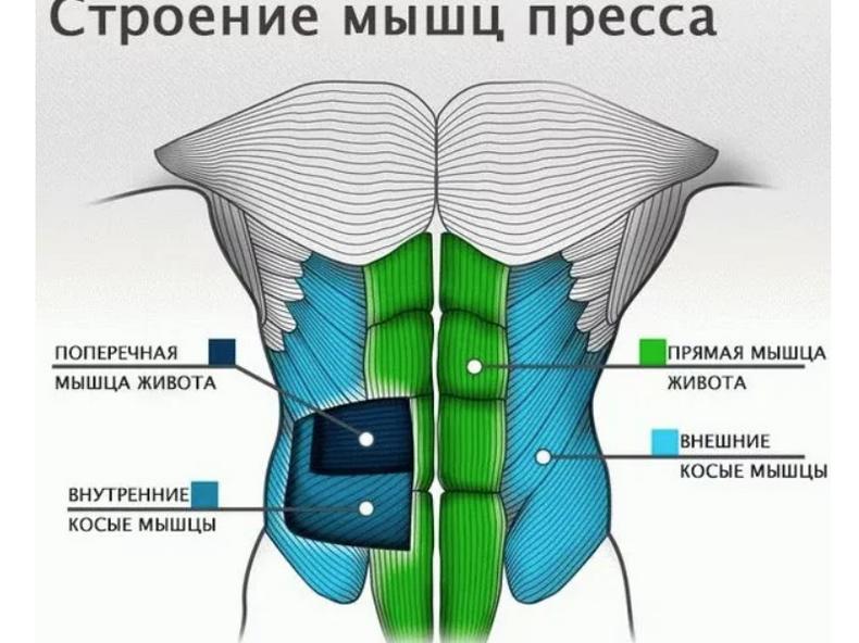 пресс за 30 дней таблица