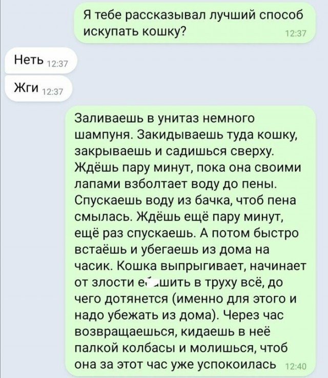 Пост приколов выходного дня. Немного позитива в каждый дом! Пост приколов выходного дня. Немного позитива в каждый дом!