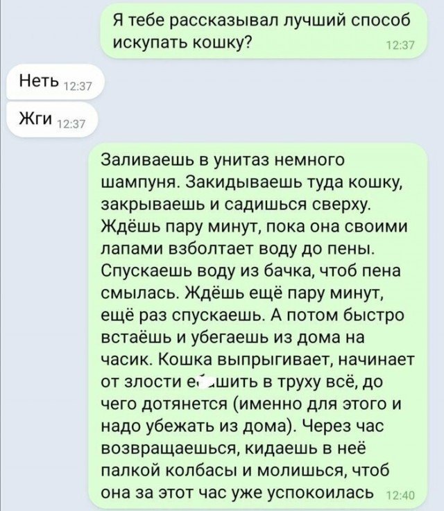 Пост приколов выходного дня. Немного позитива в каждый дом! 