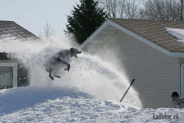 Очередная доза хорошего настроения и позитива Очередная доза хорошего настроения и позитива