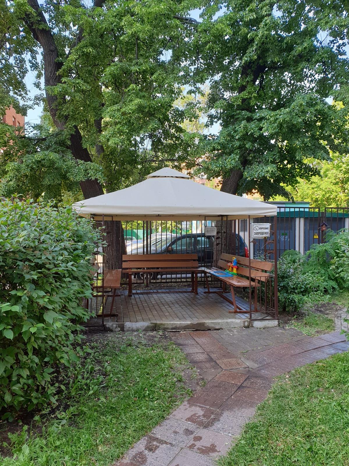 Цветник в городском дворе – советы практика Цветник в городском дворе – советы практика двор,ландшафтный дизайн,цветник