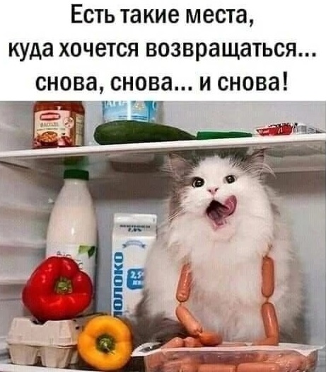 Ведь скоро Новый год! Ведь скоро Новый год!