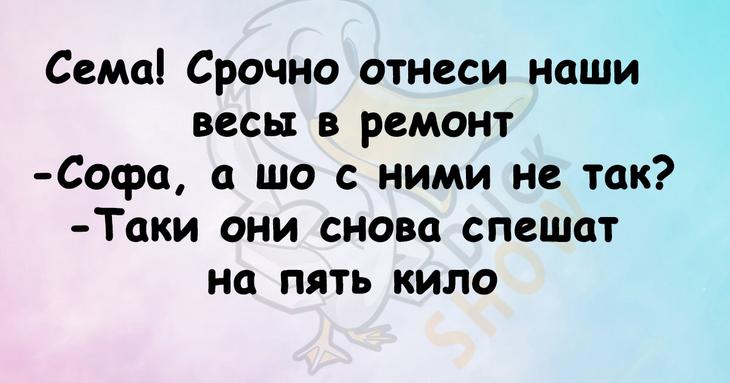 Анекдоты и шутки на злобу дня 