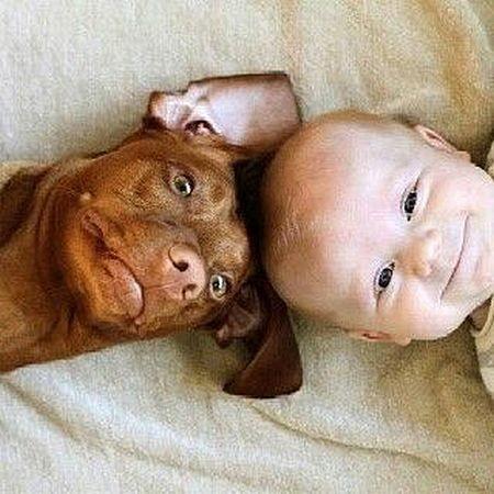 Подборка самых милых трогательных фото с детьми и животными!