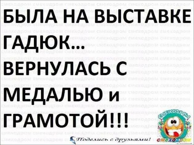 — Ты знаешь, мне приснился интересный сон, — говорит муж жене… Юмор,картинки приколы,приколы,приколы 2019,приколы про