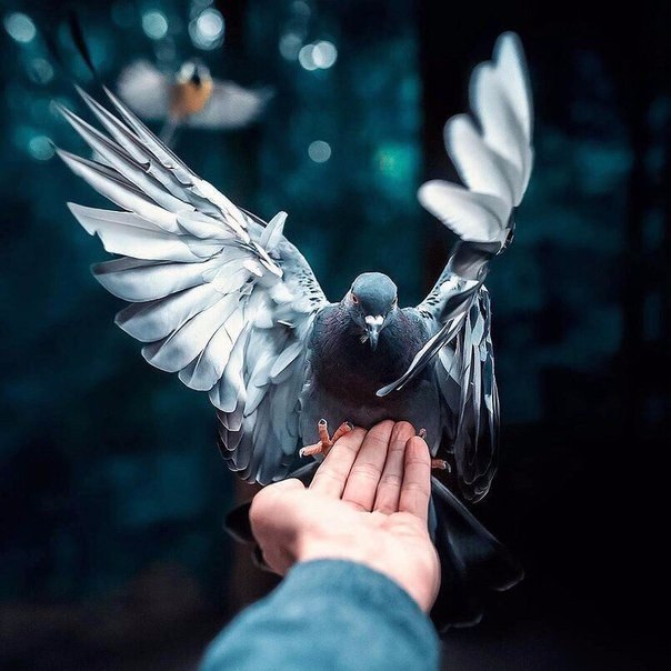 Прикольные фотографии и зачетные картинки из сети красивые фотографии,прикольные картинки,шикарные фотографии