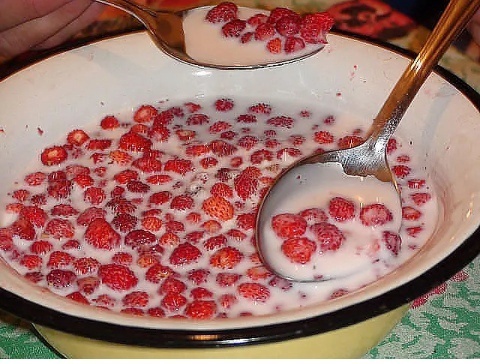 Рассказал внукам про советские пирожки с ливером – они скривились, не поверили, что это было очень вкусно Рассказал внукам про советские пирожки с ливером – они скривились, не поверили, что это было очень вкусно