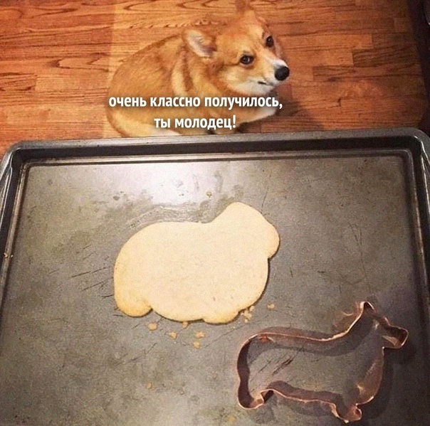 Самые лучшие клевые картинки Самые лучшие клевые картинки