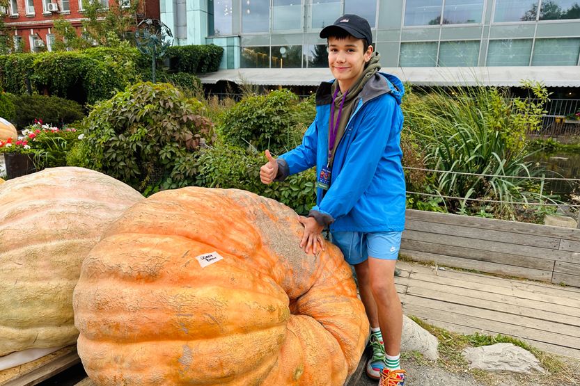 5. Без подписи