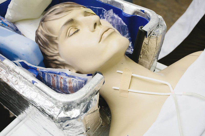 В США медики впервые ввели человека в состояние анабиоза