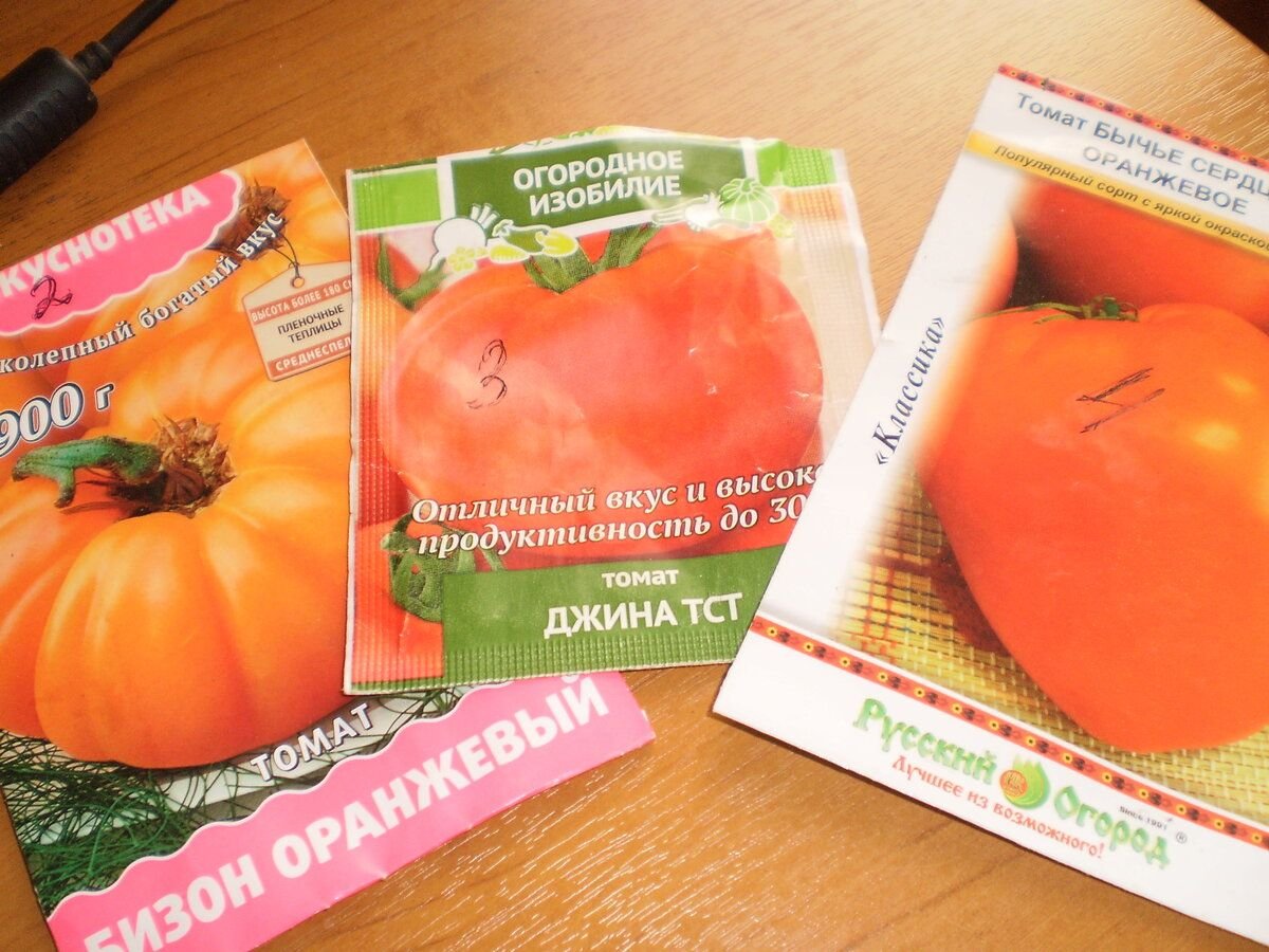 томат бычье сердце оранжевое отзывы фото