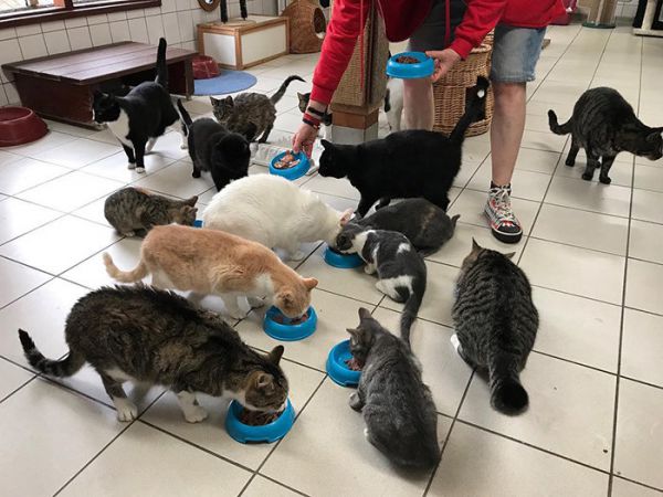 7182_32.jpg (55,73 Кб)