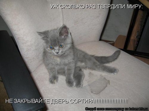 Самые прикольные котоматрицы за прошедшую неделю Самые прикольные котоматрицы за прошедшую неделю