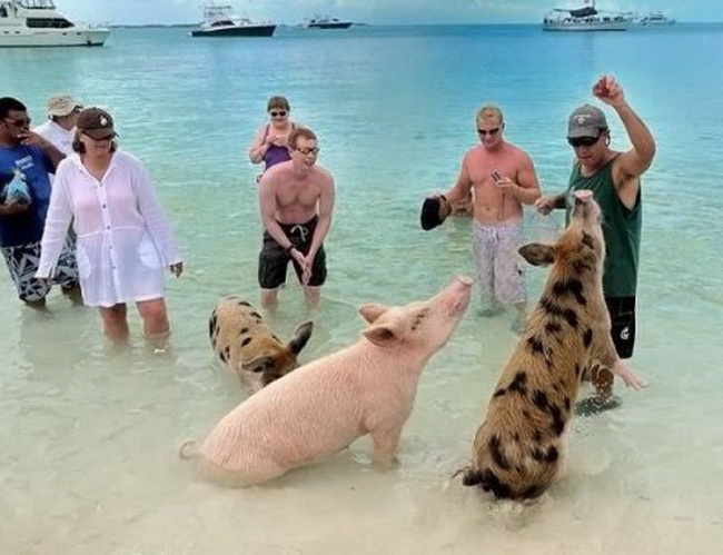 Пляжный отдых, приколы на пляже отдых,пляж,приколы